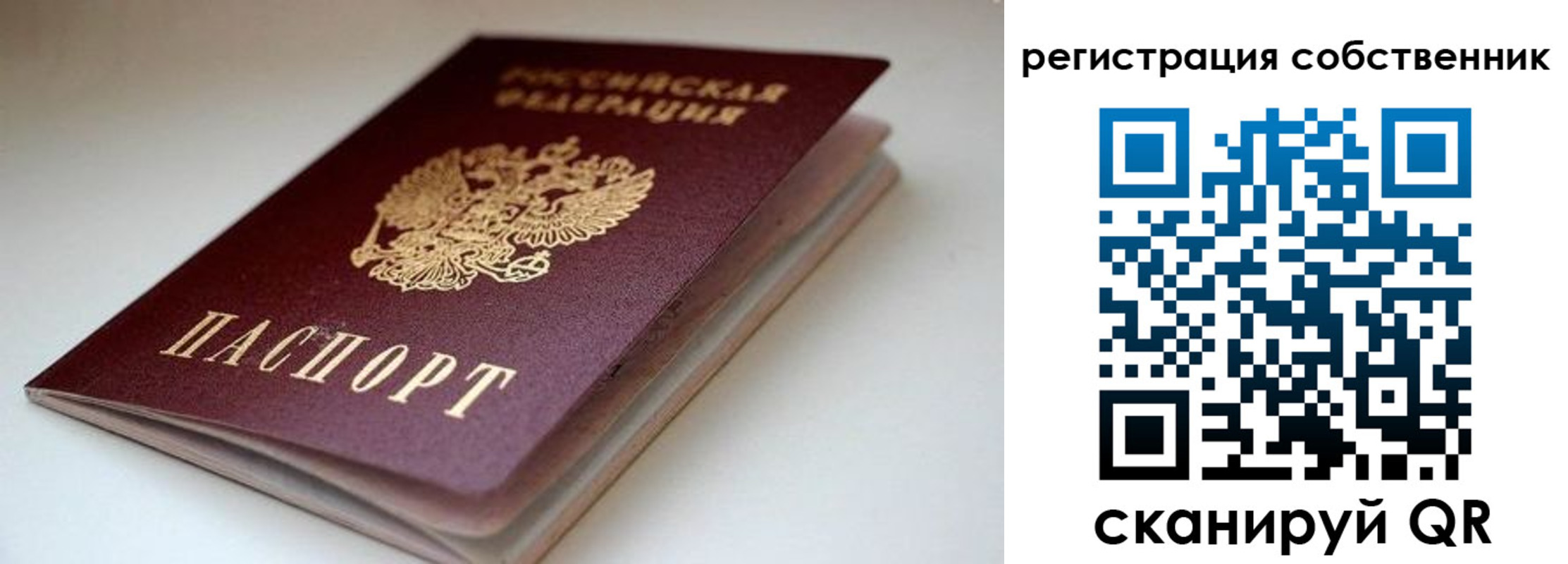 форма 3 в Стародубе